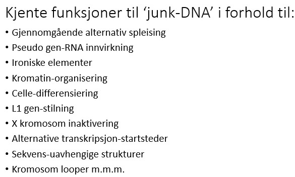 Funksjoner til junk-DNA